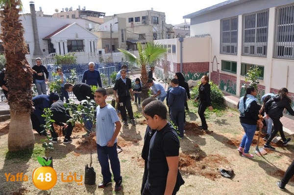 trees shamela 0321 (25).JPG